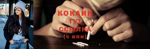 винт Горно-Алтайск