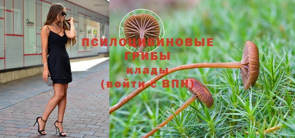 таблы Армянск