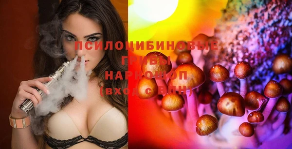 дживик Горняк